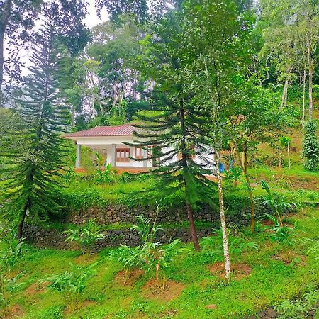 Anivilla Holiday Home Kunjithanny Anachal ภายนอก รูปภาพ