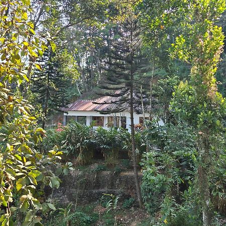 Anivilla Holiday Home Kunjithanny Anachal ภายนอก รูปภาพ