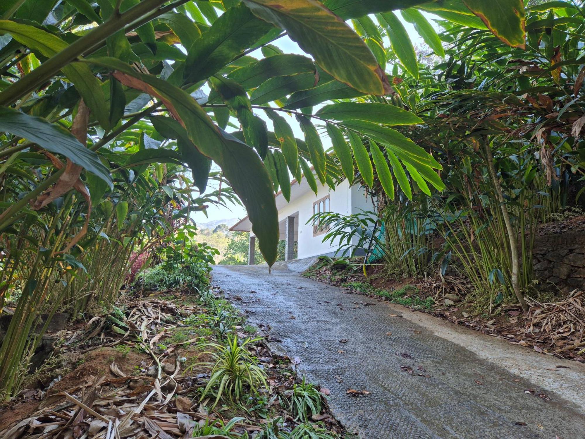 Anivilla Holiday Home Kunjithanny Anachal ภายนอก รูปภาพ