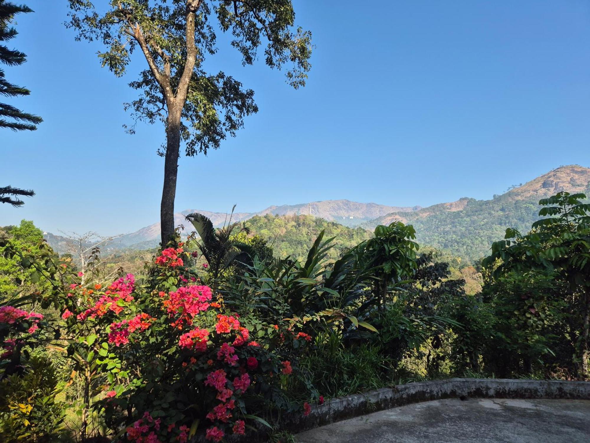 Anivilla Holiday Home Kunjithanny Anachal ภายนอก รูปภาพ